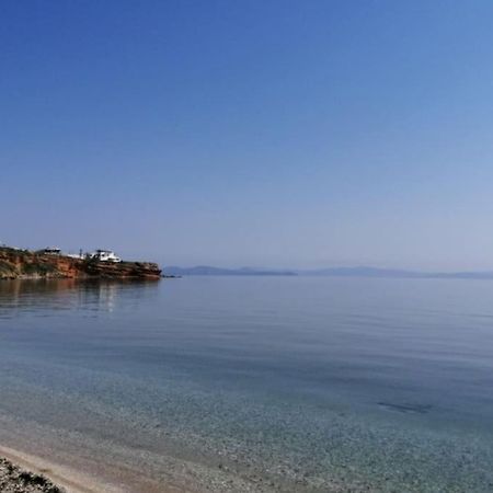 Summer House With A Pool Near Sea, Port & Airport Rafína Exterior foto