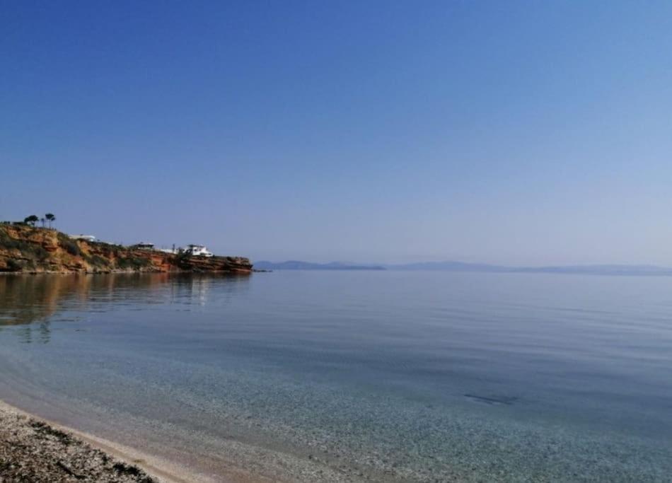 Summer House With A Pool Near Sea, Port & Airport Rafína Exterior foto